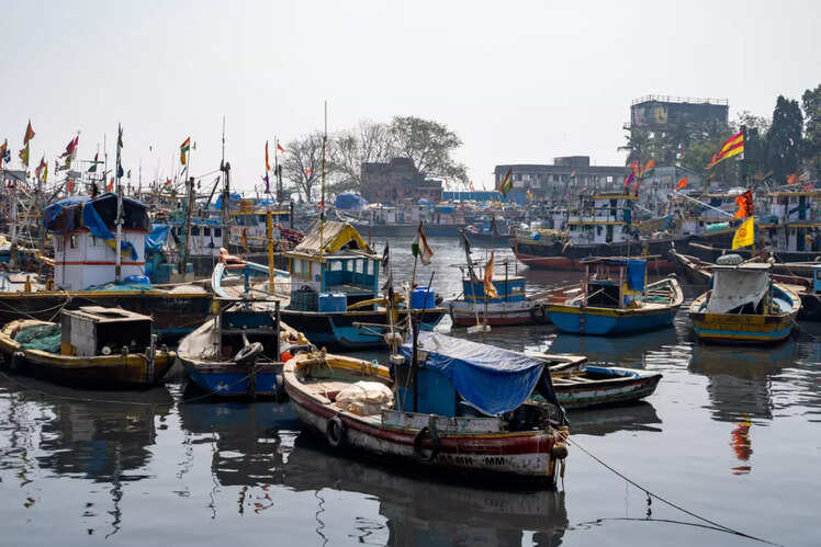 Sassoon Docks