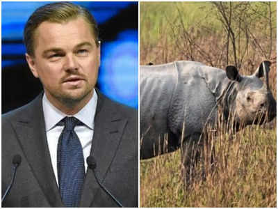 Leonardo DiCaprio lauds Assam govt's efforts to end poaching of one-horned rhinoceros