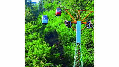 Ropeway projects proposed by Karnataka govt facing stiff opposition