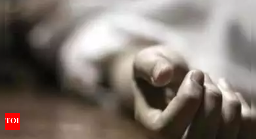 करीमगंज: तमिलनाडु में करीमगंज के दो बच्चों की हत्या, मां को चाकू मारा |  गुवाहाटी समाचार – टाइम्स ऑफ इंडिया