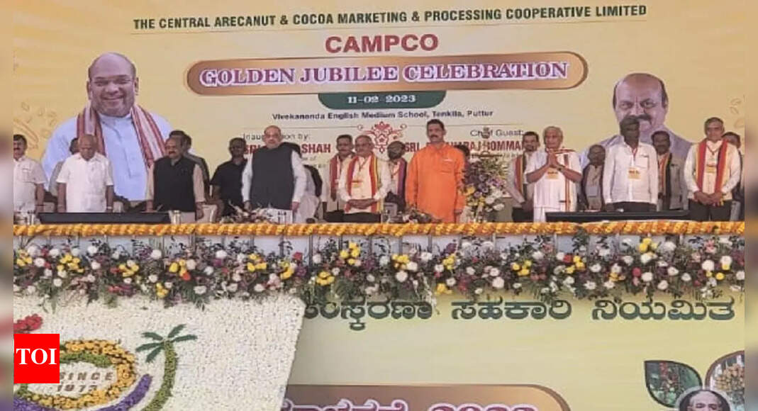 गृह मंत्री अमित शाह ने दक्षिण कन्नड़ के पुत्तूर में भारत माता मंदिर का उद्घाटन किया |  मंगलुरु समाचार – टाइम्स ऑफ इंडिया