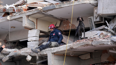 Turkey-Syria quake: Rescue teams find more survivors
