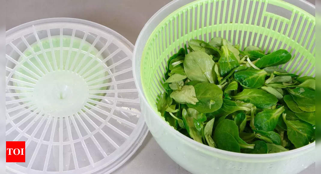 Salad Spinner Options For That Fresh And Crispy Salad Times Of India   Photo 