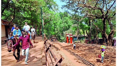 Offences by horse owners rise fourfold in Matheran
