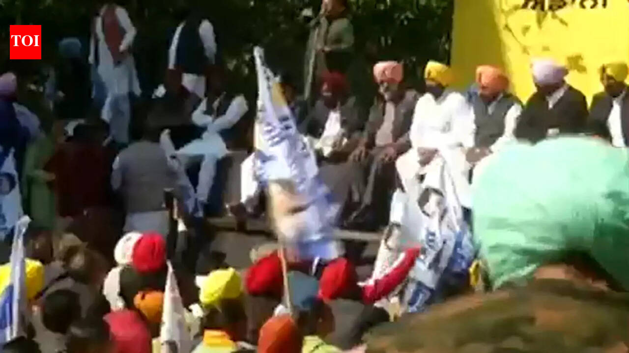 AAP stages pan India protests on Adani issue