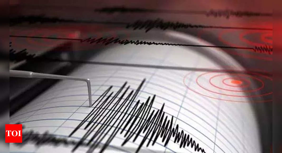 Micro quakes preventing large-scale event in India but country prepared for any eventuality: Experts | India News – Times of India