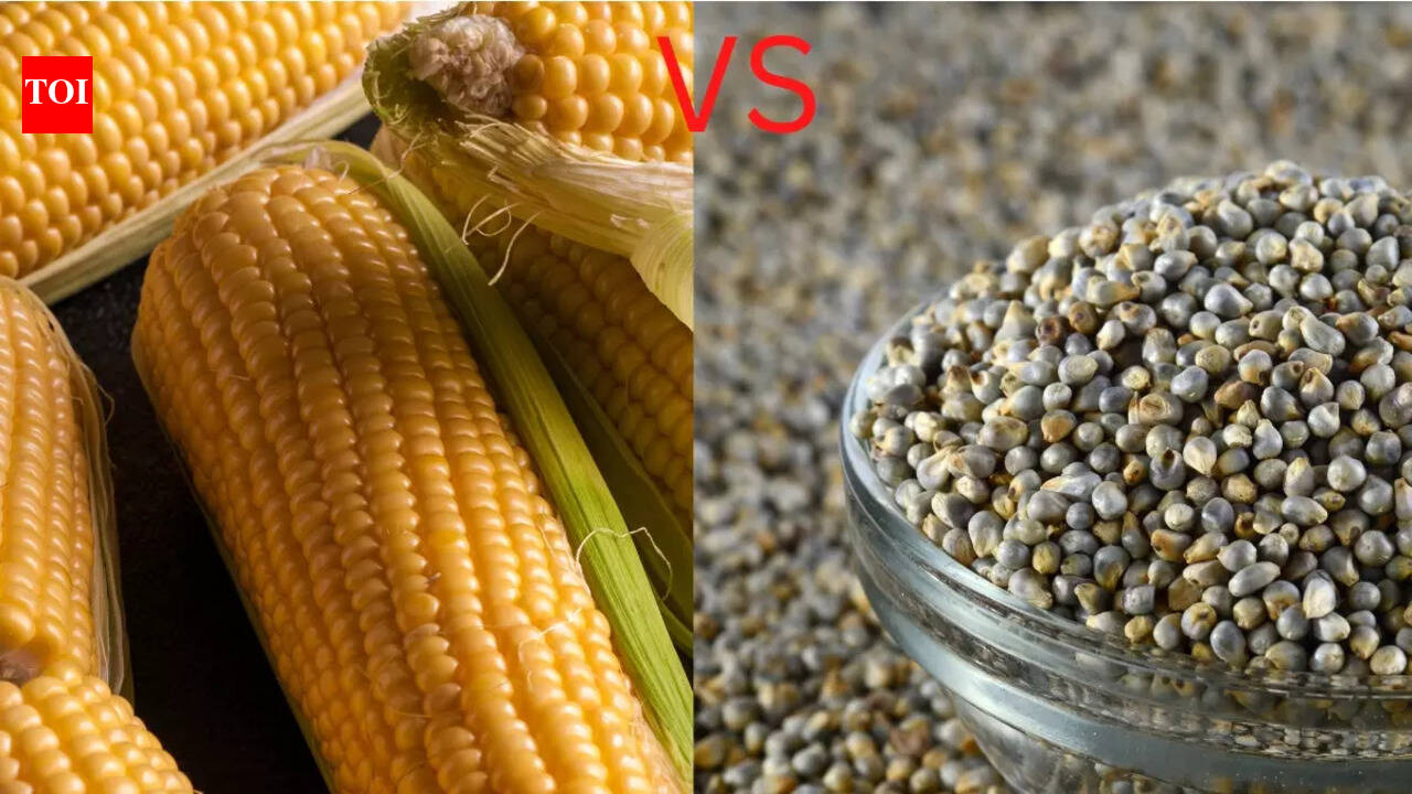 Maize vs Millet: Which one is better for your health
