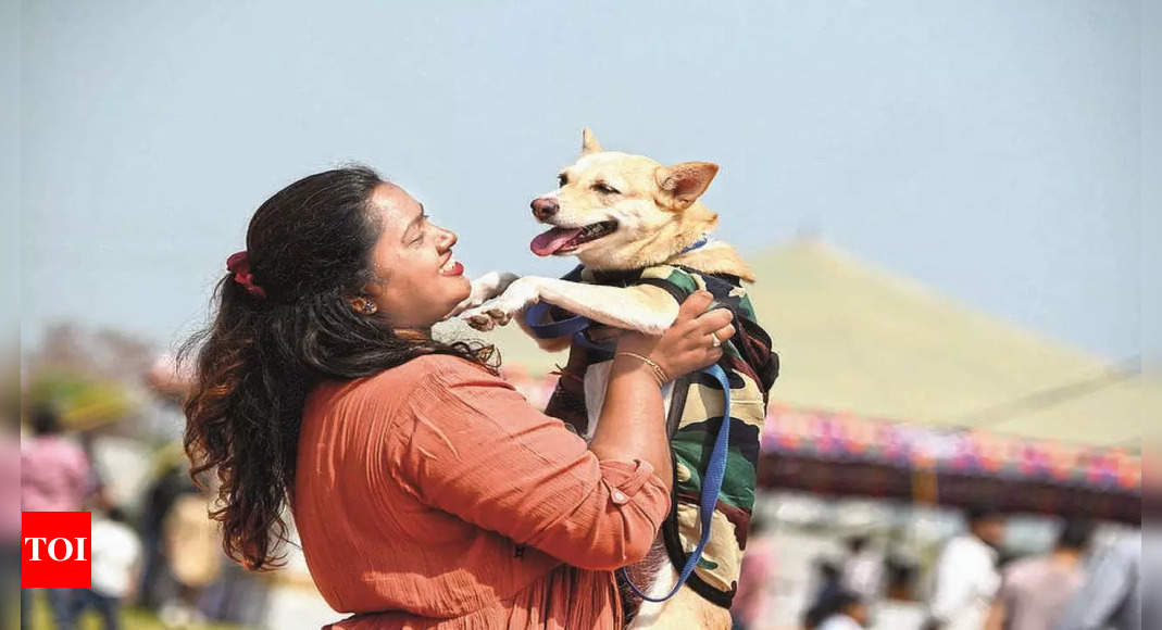 पालतू जानवरों के मालिकों की खराब प्रतिक्रिया के बाद वड़ोदरा नगर निगम ‘डॉग टैक्स’ में कटौती करेगा |  वडोदरा समाचार – टाइम्स ऑफ इंडिया
