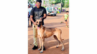 Dog show draws crowd in Trichy despite delay