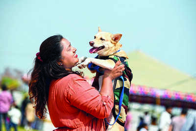 VMC to cut ‘dog tax’ after poor response from pet owners