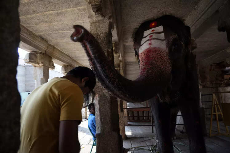 Take Laxmi&rsquo;s blessings at Virupaksha Temple