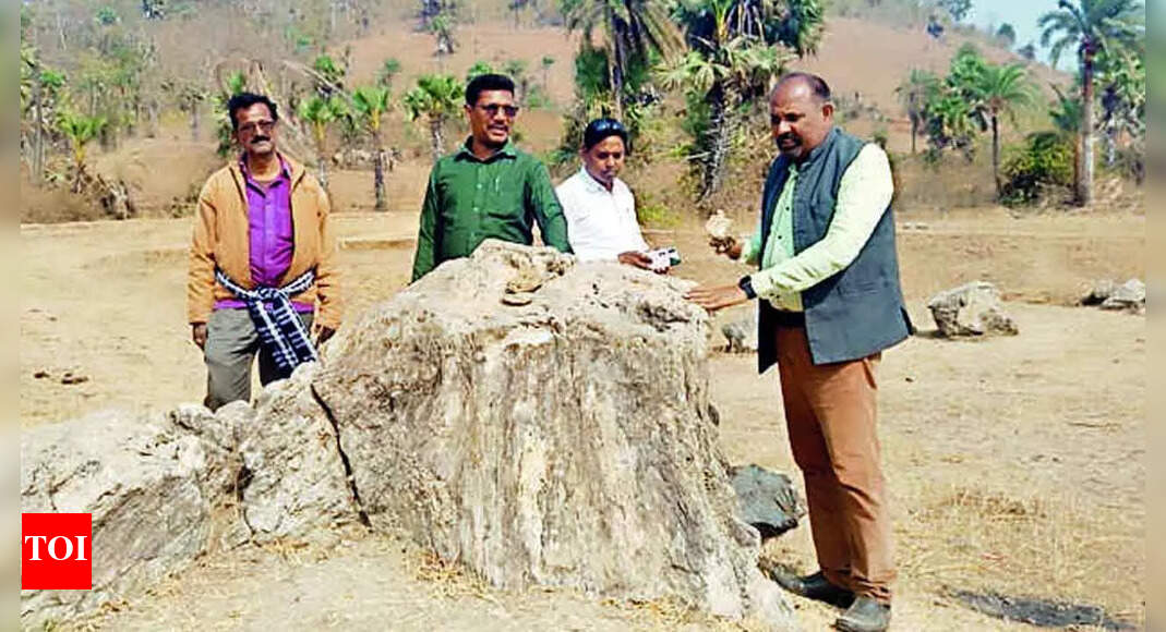 Rare Mound Of Petrified Plant Fossil Found At Sahibganj In Jharkhand 