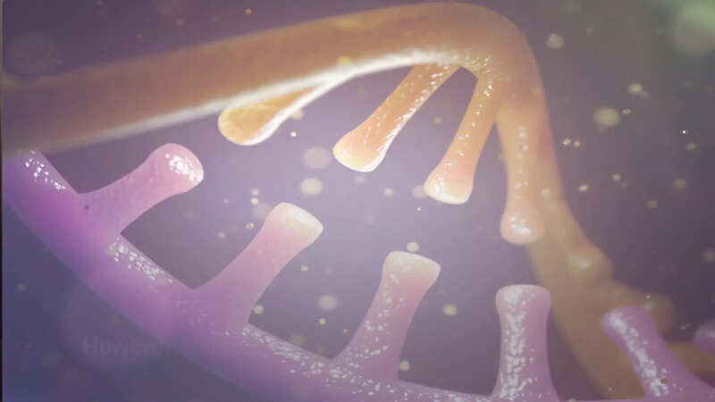 rna: Researchers develop AI-based technique to predict RNA modifications