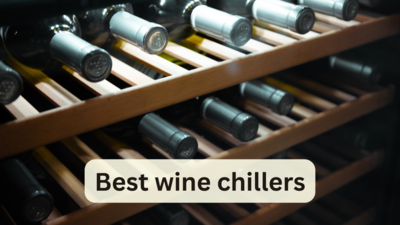Wine chillers: Best fridges for special needs (February, 2024)