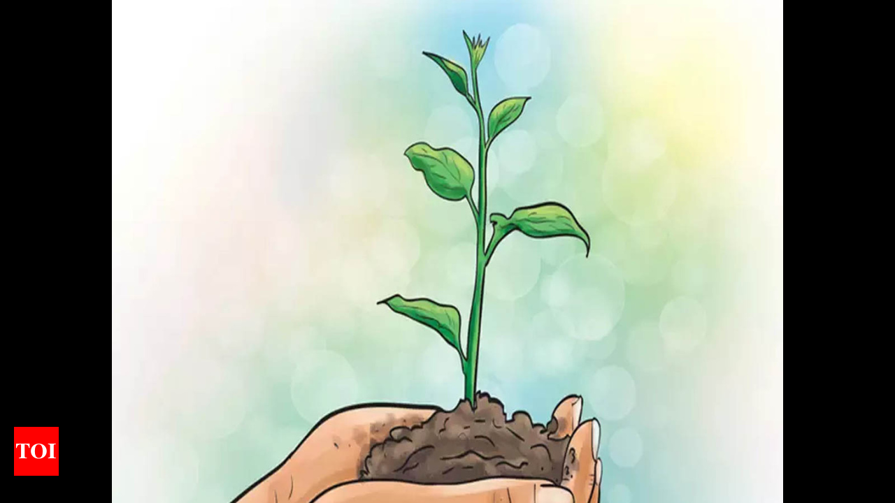 Compensatory Afforestation For Rrts: 30k Saplings To Be Planted Along Rly  Line | Gurgaon News - Times of India
