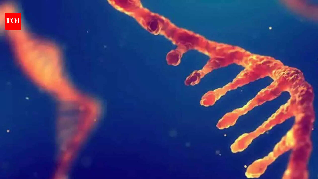 Researchers develop AI-based technique to predict RNA modifications
