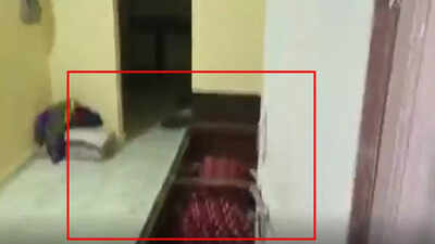 Maharashtra: Man kills live-in partner, hides body in bed box