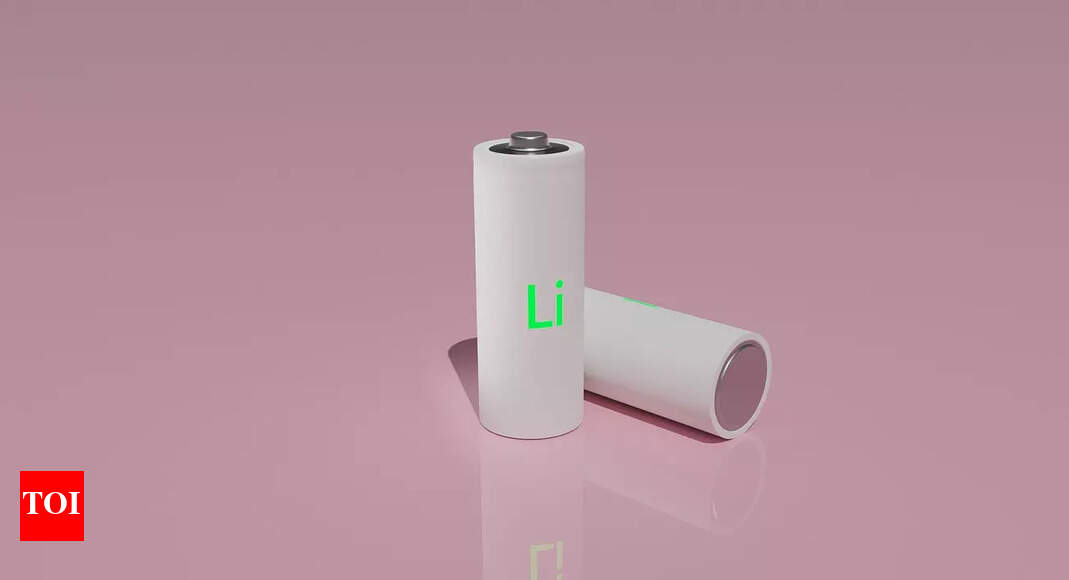 Global demand for lithium batteries to leap five-fold by 2030- Li ...