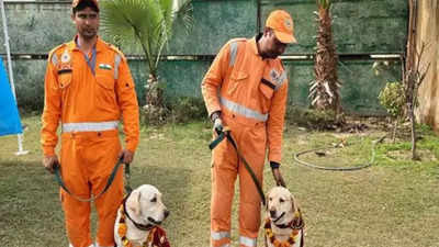 Turkey earthquake: NDRF team, dog squad members return after 10-day rescue operation
