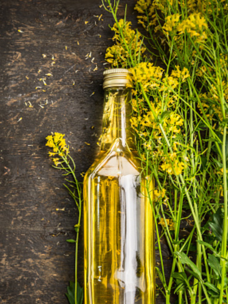 Good or bad? The truth about Canola Oil Times of India