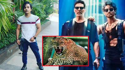 Akshay Kumar's make-up artist attacked by leopard on ‘Bade Miyan Chote Miyan’ sets, undergoing treatment at a hospital. Deets inside