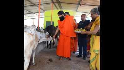 Yoga guru for cow shelters in every Goan household