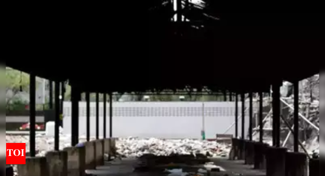 Use dung logs instead of firewood at crematoriums UP govt to civic