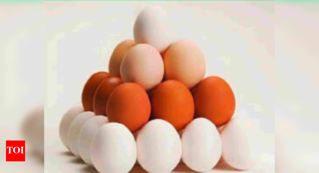 Puzzle: How many eggs are there in this picture? - Times of India
