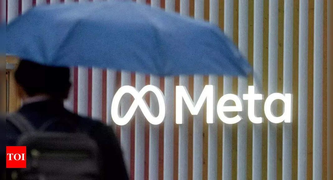Meta launches subscription service priced at $11.99 a month – Times of India