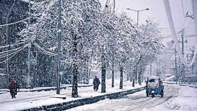 Himalayan snow is turning black, melting faster: IITM