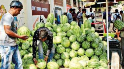 Sale of watermelon, muskmelon soars in Hubballi