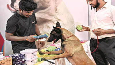 After a break, Kochi hosts dog show
