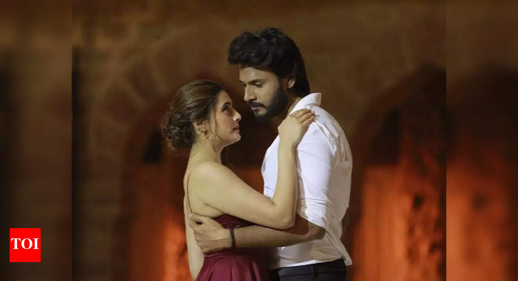 Sundeep Kishan and Vijay Sethupathi starrer 'Michael' set for its OTT ...