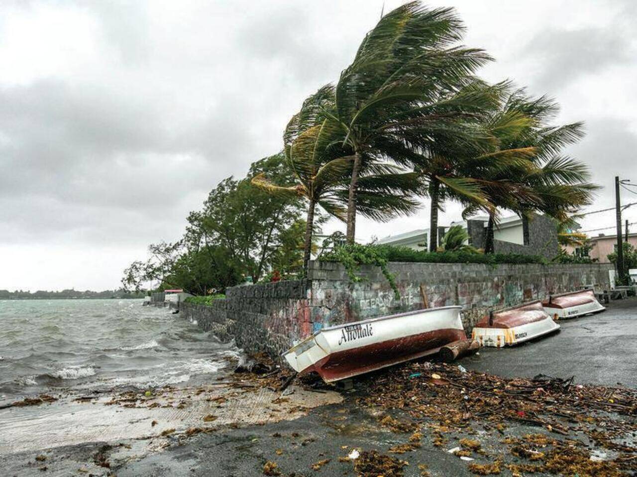 Cyclone Freddy too far away, will have no significant impact on Goa's  coast, says IMD | Goa News - Times of India