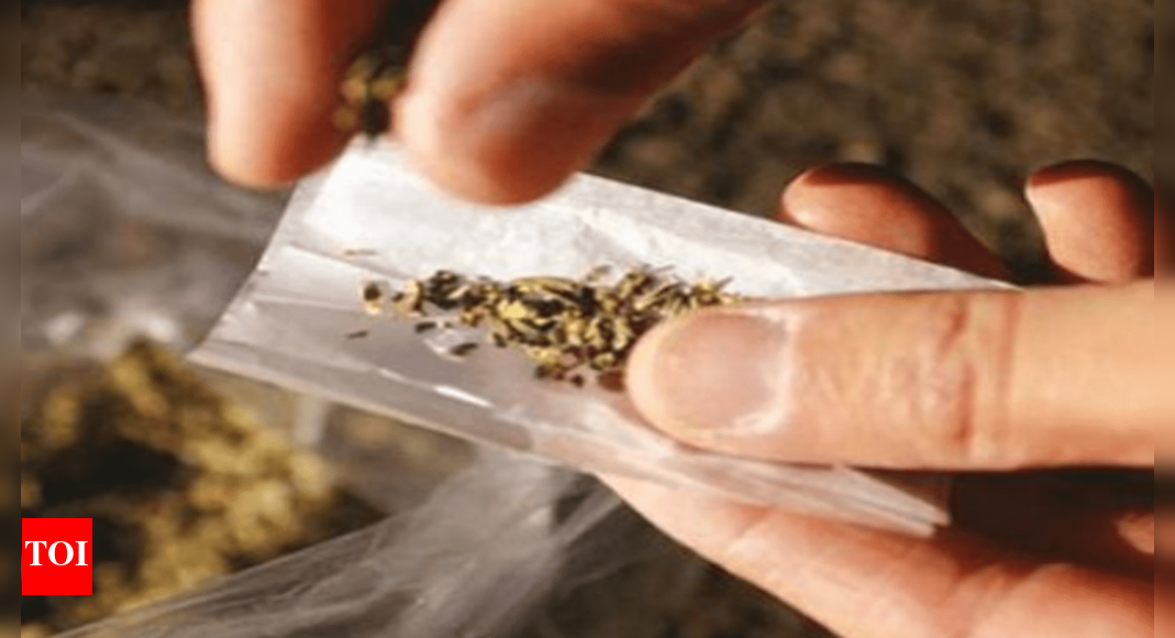 Is possessing, selling ganja seeds also