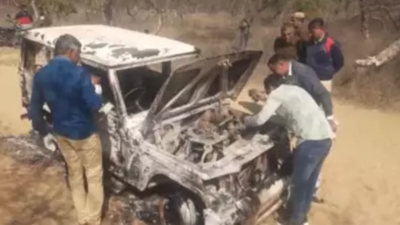 Vigilantes set SUV with 2 men on fire, took them to Haryana cops first: Rajasthan SHO on video