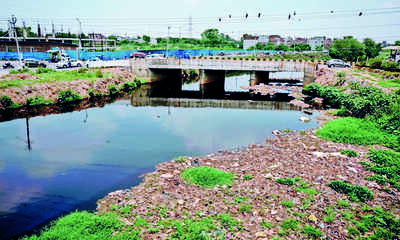 Cleaning nullah: ‘Hire experts, babus not good’