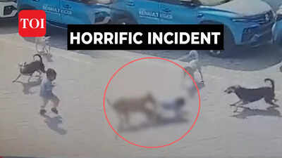On cam: Toddler mauled to death by stray dogs in Hyderabad