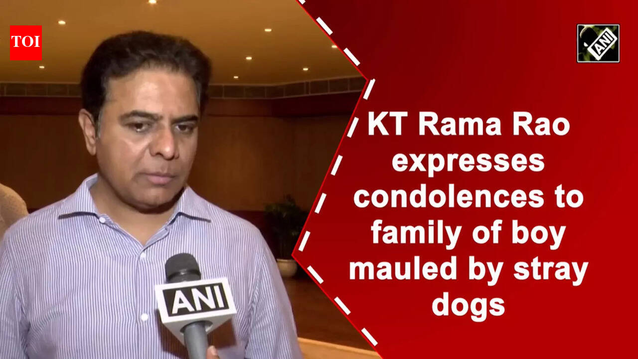 KT Rama Rao expresses condolences to family of boy mauled by stray dogs