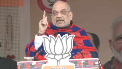 Peace Accord signed by PM Modi has brought development in Nagaland: Amit Shah