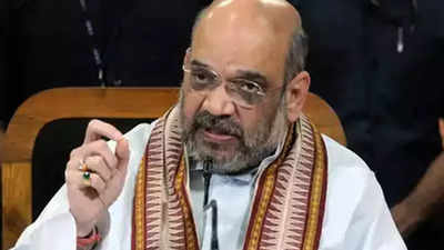 Amit Shah addresses Meghalaya rally on phone after weather plays spoilsport