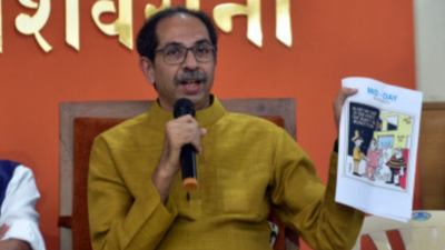 Governors' active role disturbing polity of states: Uddhav Thackeray faction tells SC