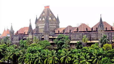 Bombay HC sends NGO chief to Navi Mumbai to verify feeding spots for stray dogs