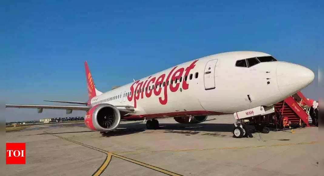 Spicejet: SpiceJet’s lessor eyes 5% stake for $100 million dues – Times of India