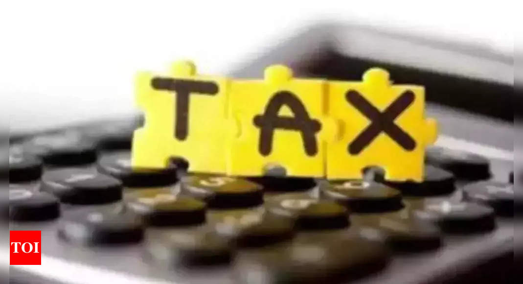 Authorities Can T Doubt Tax Residency Certificate Mumbai News   Photo 