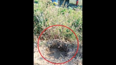 Rfo: Rs 1.50 crore plantation scam exposed, RFO suspended in ...