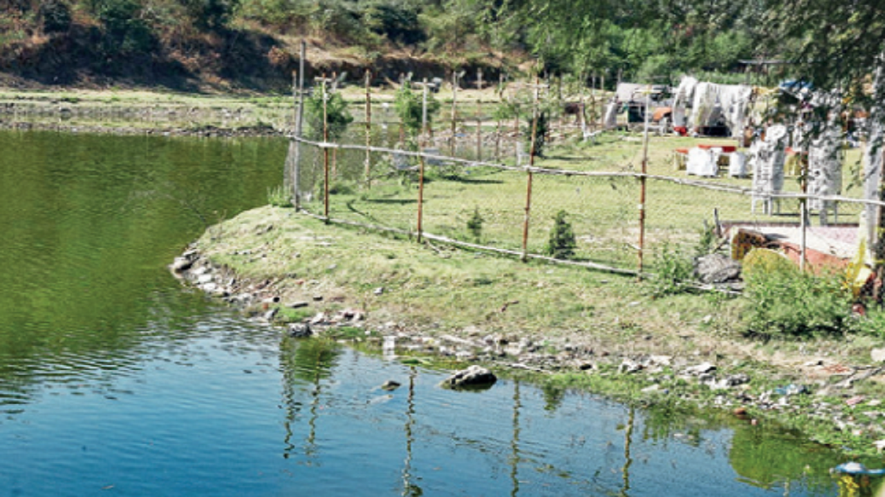Chaudharys: Maharashtra Animal and Fishery Sciences University seeks action on Kamlesh Chaudharys for illegal earnings from govt land | Nagpur News - Times of India Chaudharys: Maharashtra Animal and Fishery Sciences University seeks action on Kamlesh Chaudharys for illegal earnings from govt land | Nagpur News - Times of India