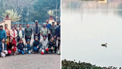 Sewage water in lake poses threat to migratory birds