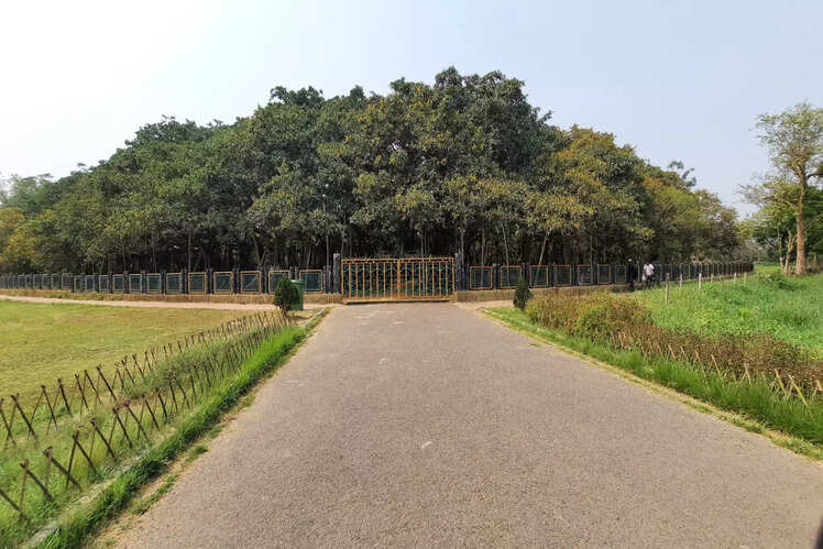 The Great Banyan, India