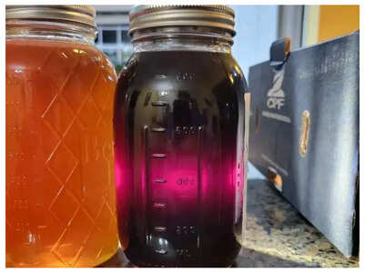 This is the only place on earth where purple honey is found